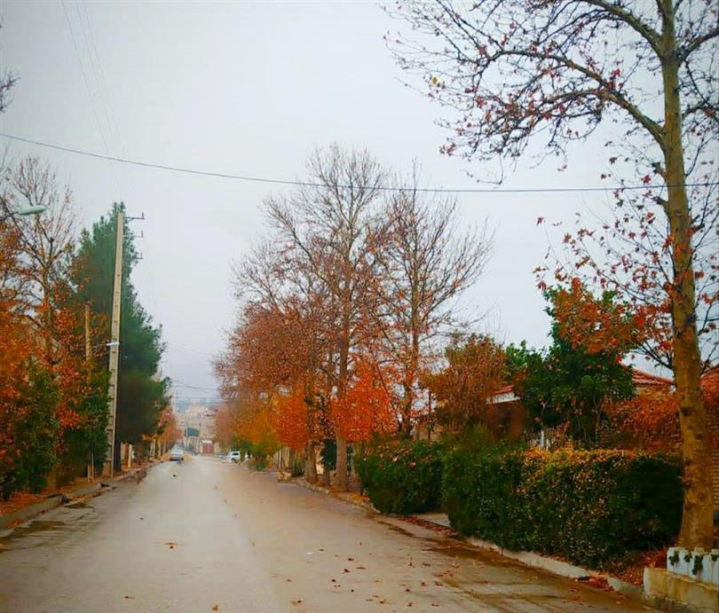 مسیر  پاییزی کتابخانه